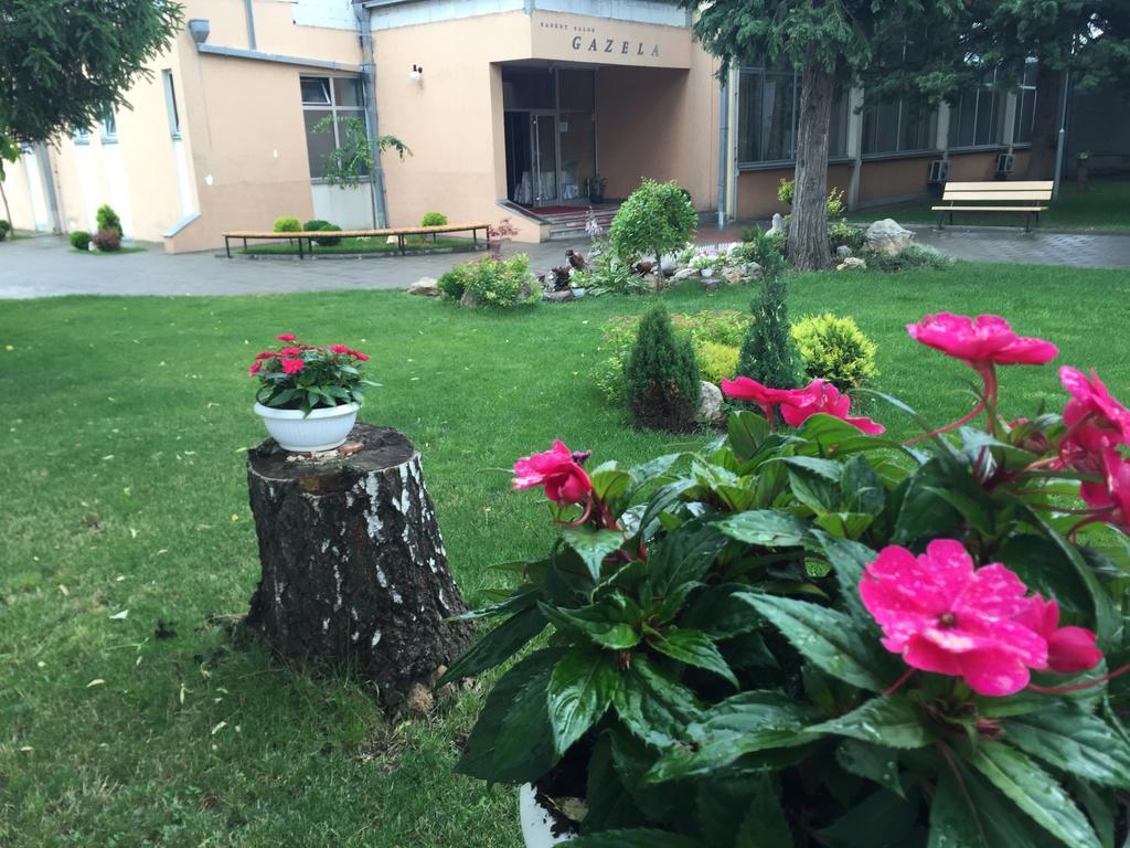 Prenociste Gazela Bed & Breakfast Pirot Exterior foto