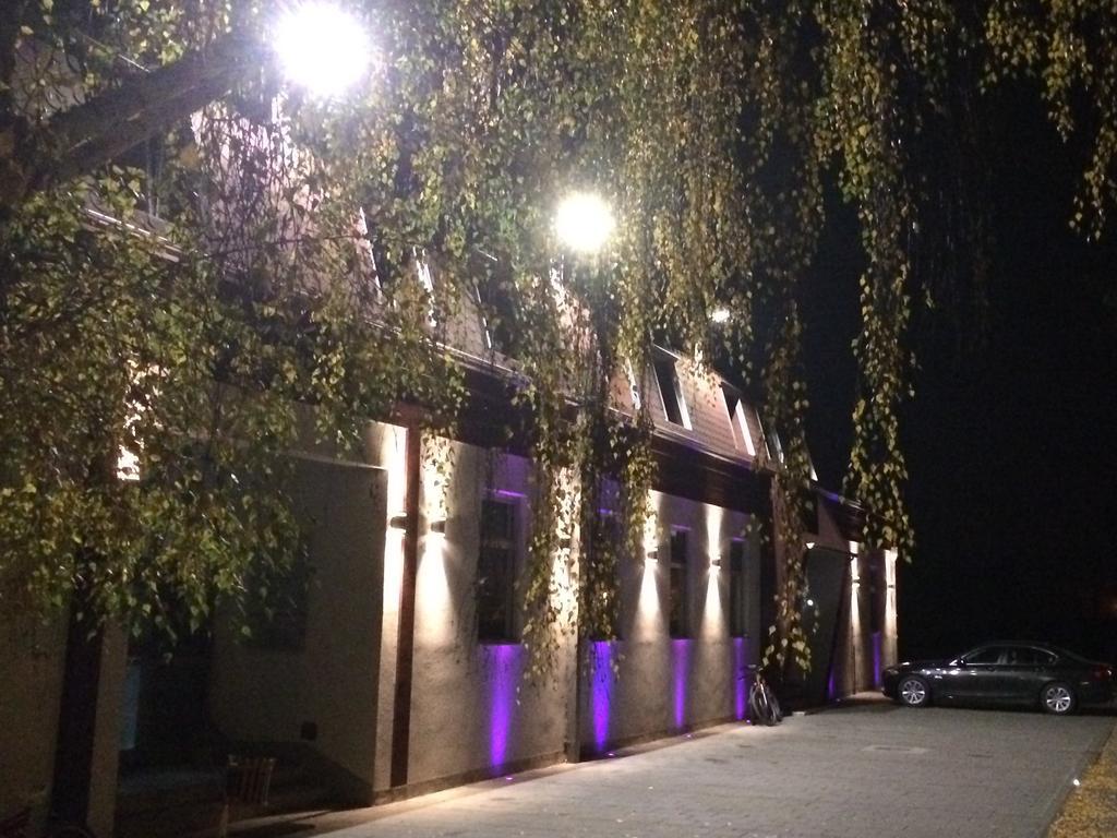 Prenociste Gazela Bed & Breakfast Pirot Exterior foto
