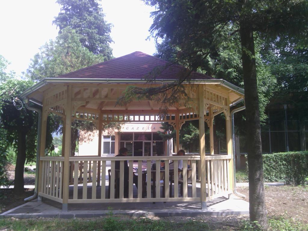Prenociste Gazela Bed & Breakfast Pirot Exterior foto