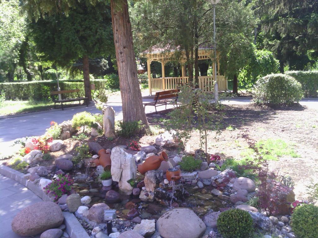 Prenociste Gazela Bed & Breakfast Pirot Exterior foto