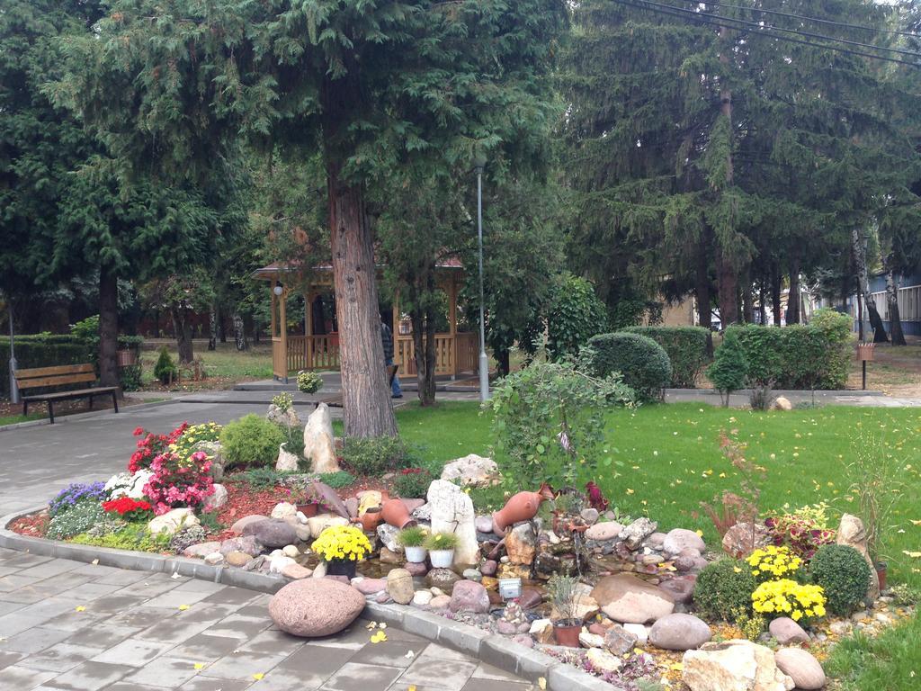 Prenociste Gazela Bed & Breakfast Pirot Exterior foto
