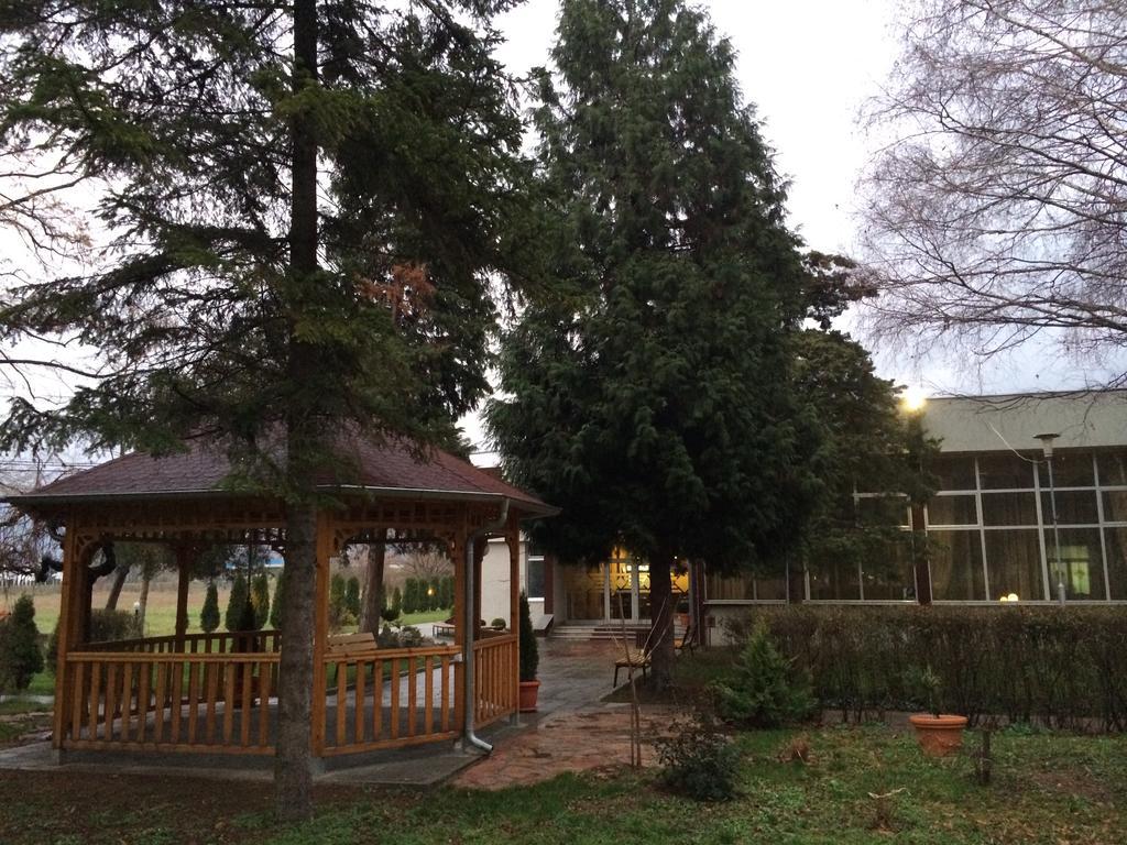 Prenociste Gazela Bed & Breakfast Pirot Exterior foto